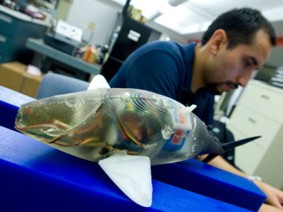 MIT robot fish
